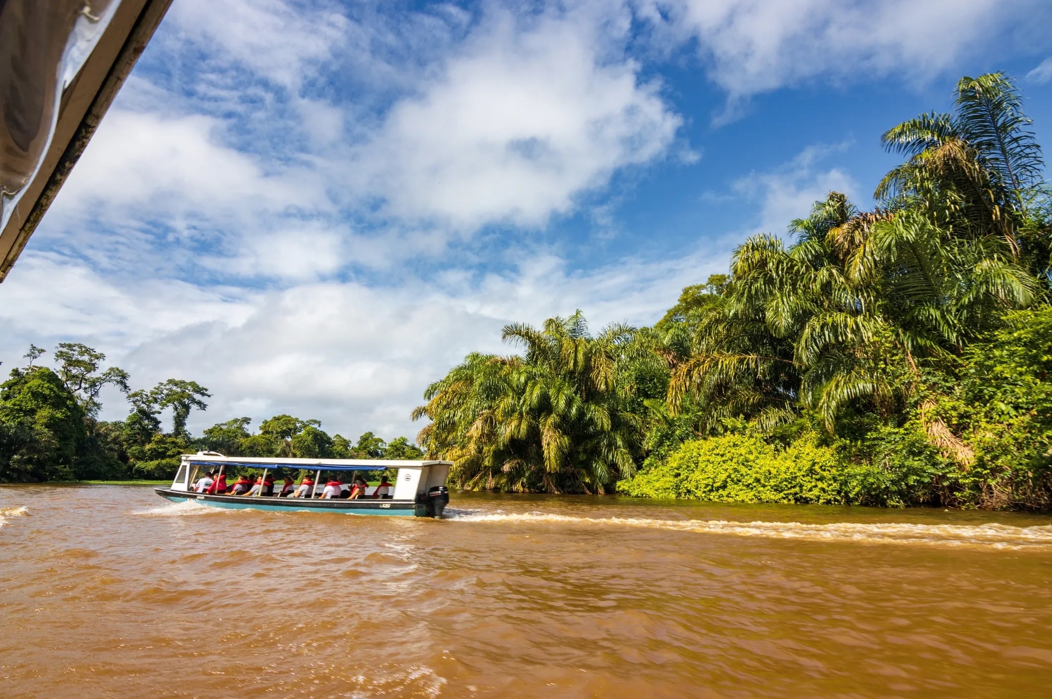 Tortuguero canals Costa Rica jungle